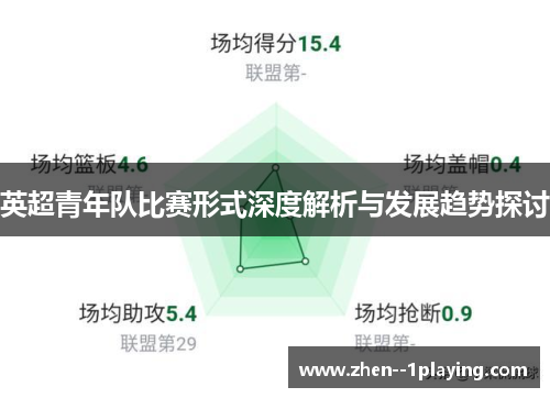 英超青年队比赛形式深度解析与发展趋势探讨